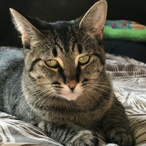 Meet your Posher, Melanie